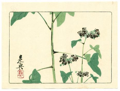 flowering-plant-hana-kurabe-1878.jpg!Large